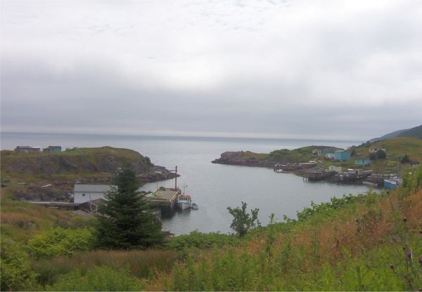 606: The "Kittiwake" at the wharf in Red Island harbour. (2003) [courtesy of Stephen Mulrooney]